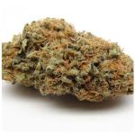 Шишки AK47 (Гидропоника, Бошка) VHQ в Новомосковске Шишки AK47 (Гидропоника, Бошка) VHQ в Новомосковске